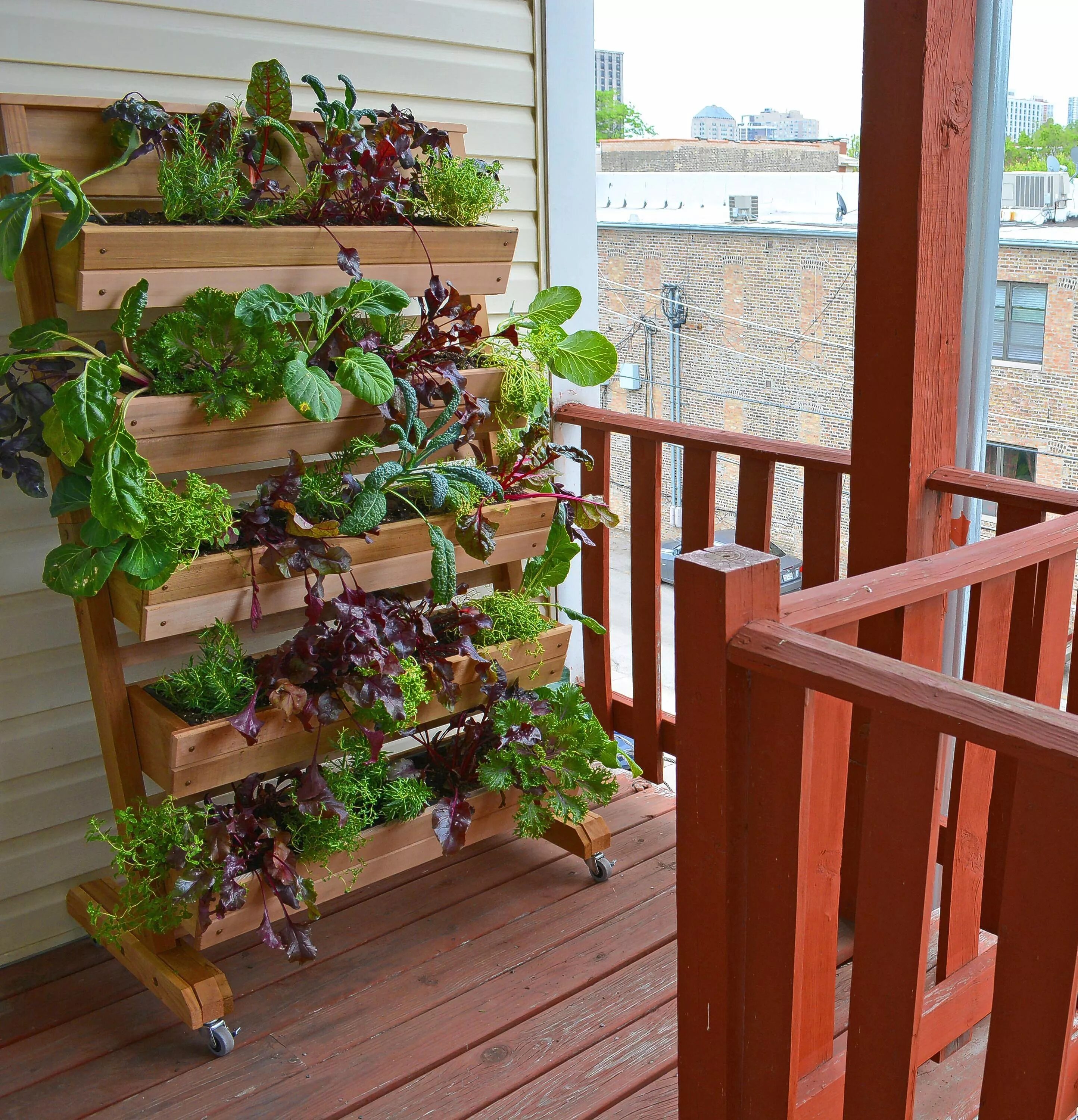 Огород на балконе. Озеленение балкона. Красивый огород на балконе. Овощи на балконе.