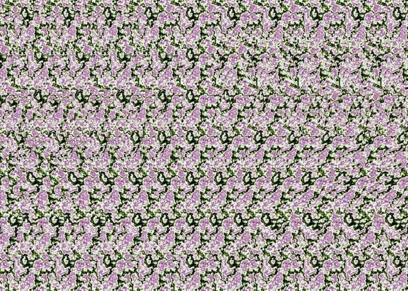 трехмерное изображение. стереограмма гарри поттер. третий глаз. объемные картинки. стереограмма тигр.