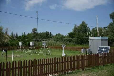 На окраине южного городка люди наблюдали