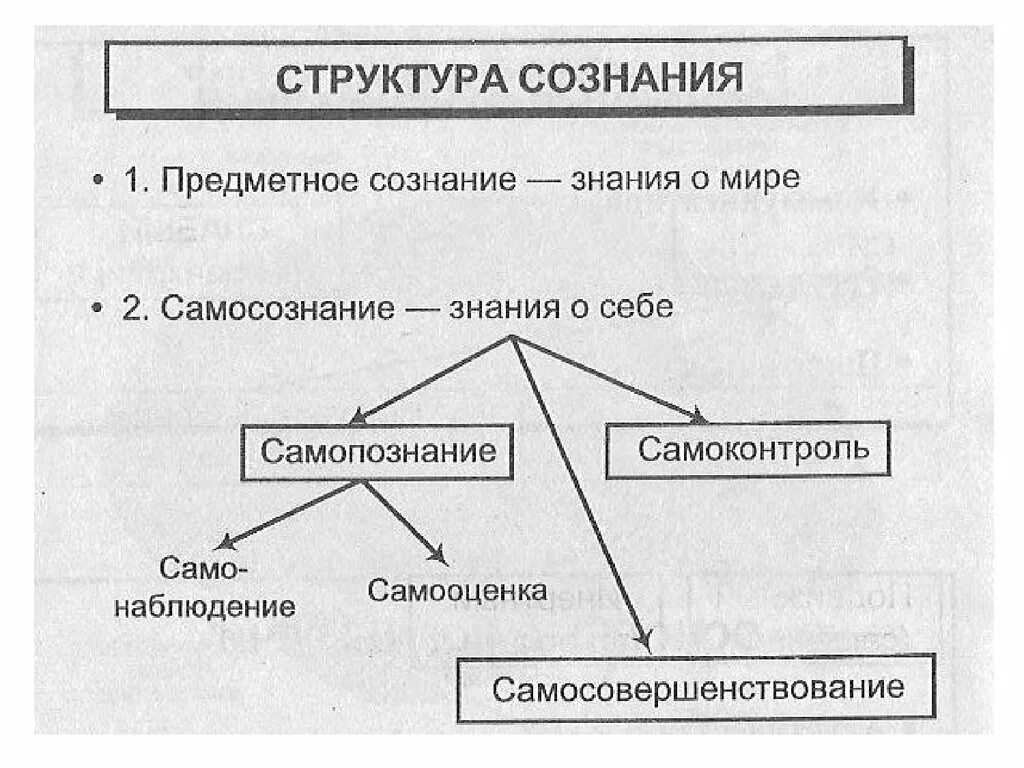 Физиология ВНД. Типы высшей нервной деятельности биология 8 класс. Высшая нервная деятельность физиология. Типы ВНД по Павлову схема. Что изучает физиология высшей нервной деятельности