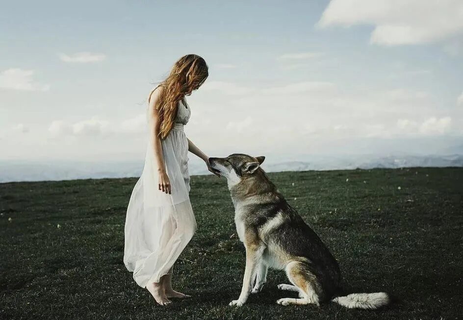 Одинокие женщины и собаки. Девушка с волком. Девочка и волк. Волк обнимает девушку. Девочка обнимает волка.