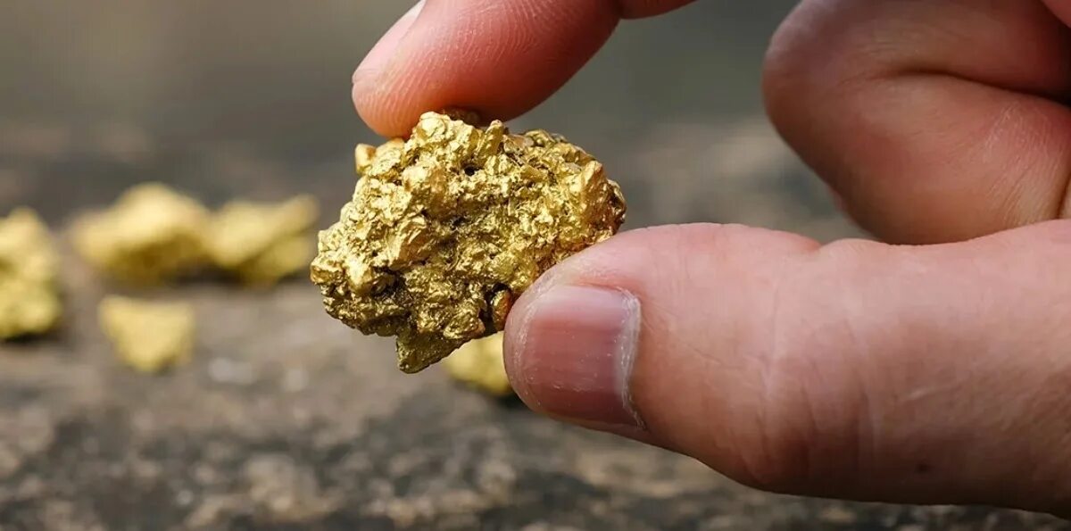 сплавы золота. золотые самородки россыпное золото. золото. рассыпное золото. самородки золота серебра платины.