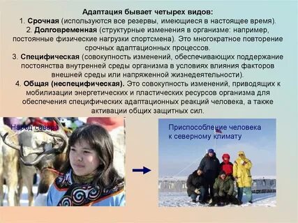 Приведите примеры адаптации людей к природным условиям