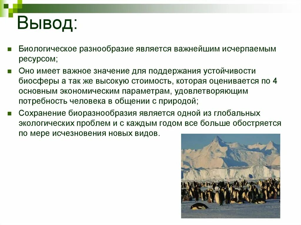 Обоснуйте необходимость сохранения этнического разнообразия в современной. Проблема сохранения биологического разнообразия. Значение сохранения биоразнообразия. Сокращение видового биоразнообразия. Причины сохранения биоразнообразия.