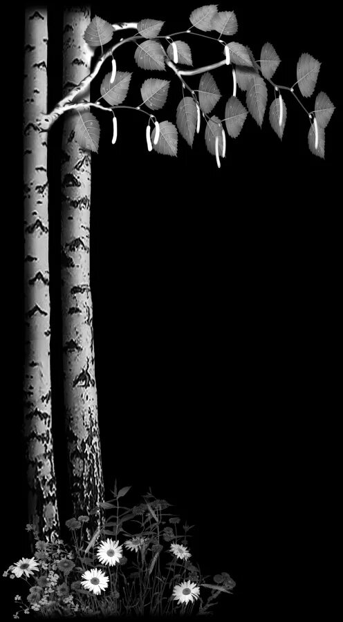 пейзажи для гравировки на памятниках. ветка березы гравировка. темно зеленые листья. березы на черном фоне. веточка березы для гравировки.