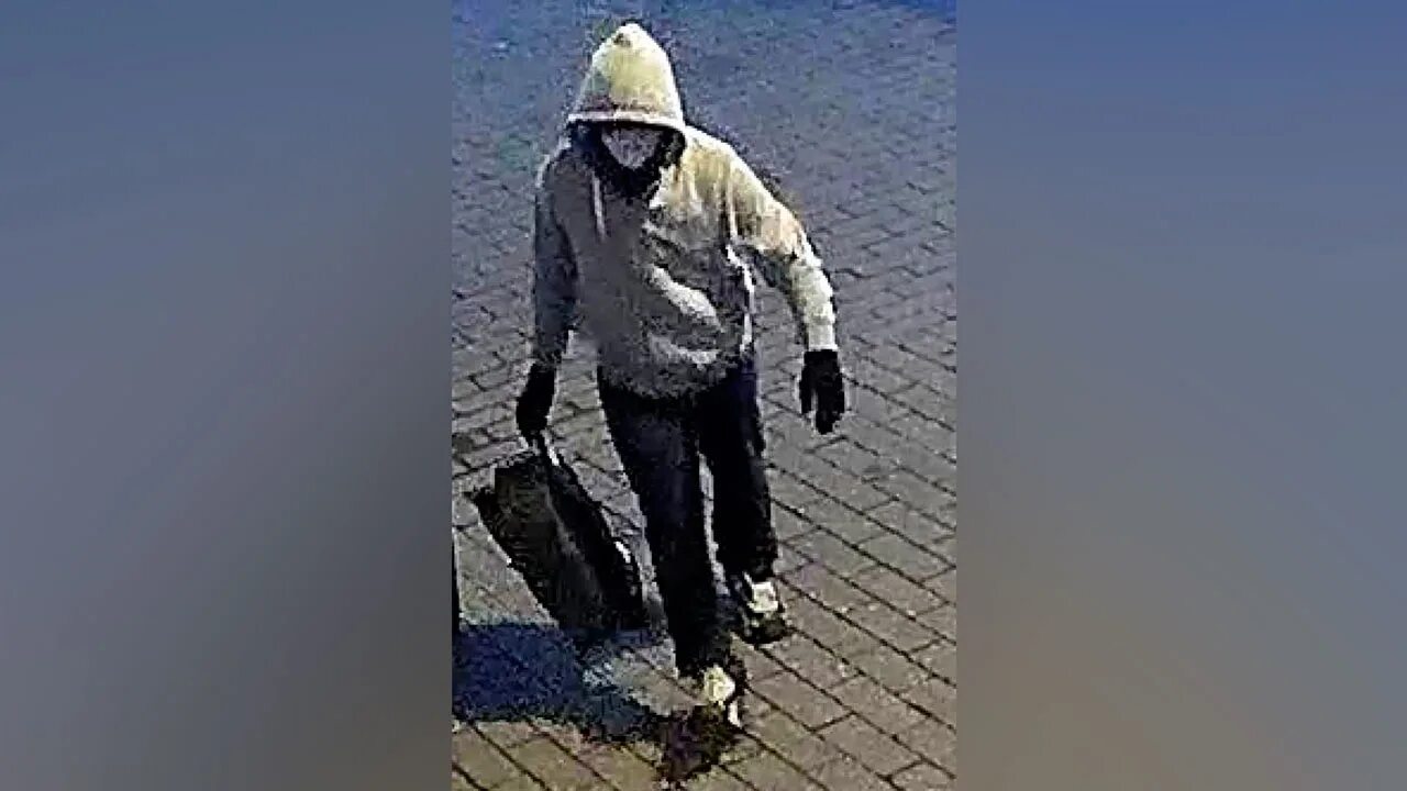 Фокусник помог фбр раскрыть преступление о самолете. Фбр опубликовало. фотография подозреваемого в игре. билл хагмайер фбр.