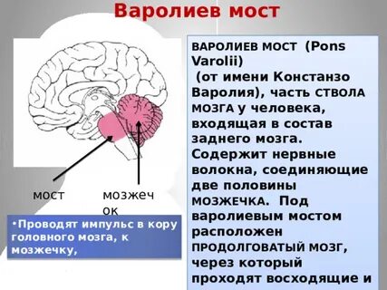 Жалаңаш жігіт пен қыз блят