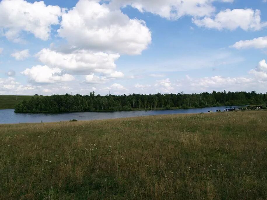 озеро длинное липецкая область