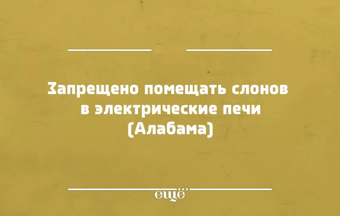 Смешные законы сша. Законы америки смешные. Запрещающие законы сша. Смешные американские законы. Странные законы в мире.