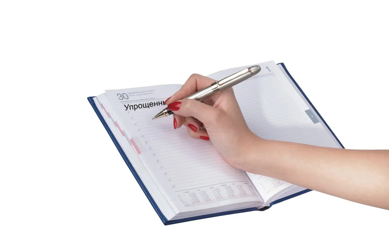 Тоо казахстан. Налоговые режимы для ип в 2023. Страховые взносы для ип 2023 года казахстан. Ликвидация ооо. Упрощена тоо.