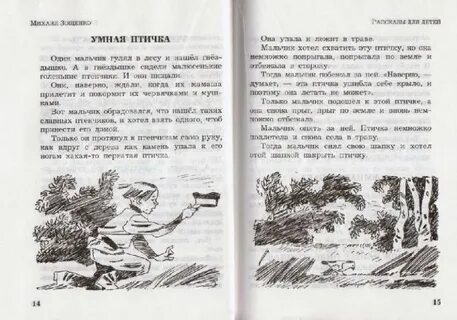 Сказка про мальчика понимавшего язык земли изложение