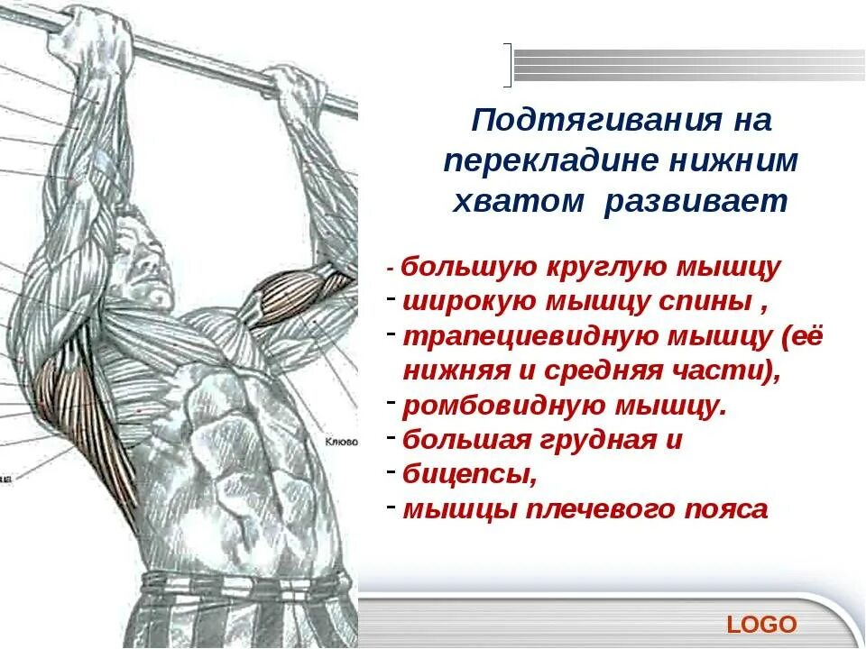 При подтягивании задействованы. Потягивания схема мышц. Мышцы при подтягивании узким хватом. Подтягивания схема мышц. Подтягивания параллельным хватом мышцы.