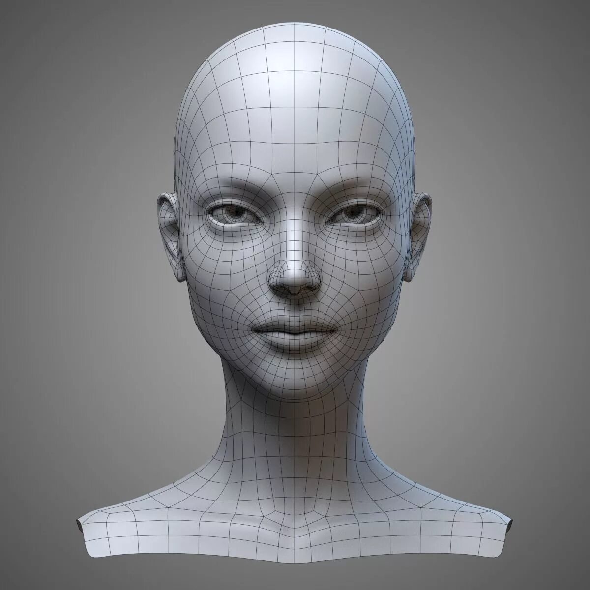 Модель человека фотографиям. Модель головы. GOLOWA cheloweka. Моделирование головы. Модель человеческой головы.