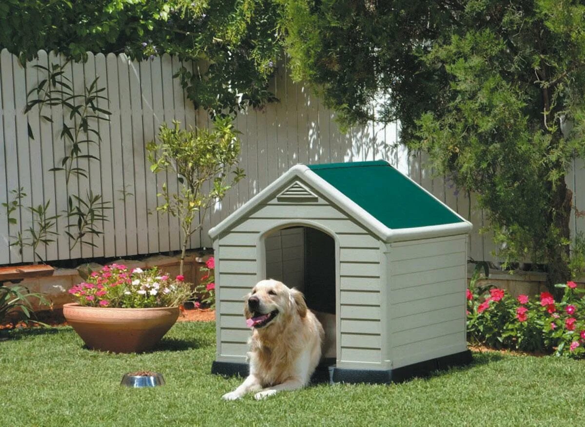 Dog house dog or alive demo. Собачья будка Keter Dog House 99x99x95 см пластик. Конура колли. Кетер дог. Двухэтажная будка для собаки.