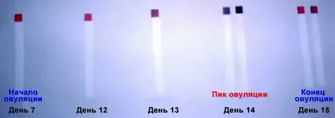 Вязкий тест
