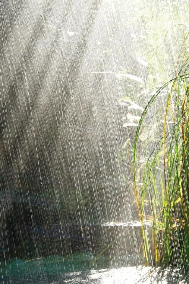 Проливной дождь. Сильный дождь. Ливневые дожди. Дождь и солнце. Дождик свет
