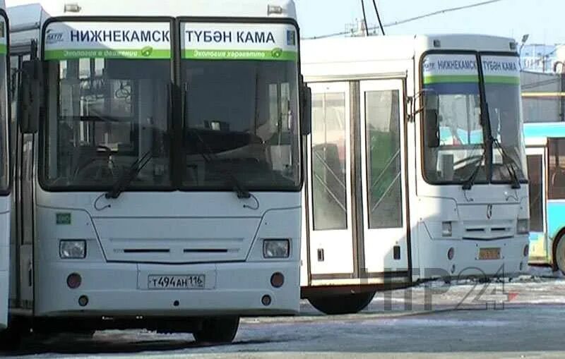 Автобус Нижнекамск Камские Поляны. Рейсы Нижнекамск Камские Поляны автобусов. Автовокзал Нижнекамск Камские Поляны. Камская Поляна рейс автобусов.