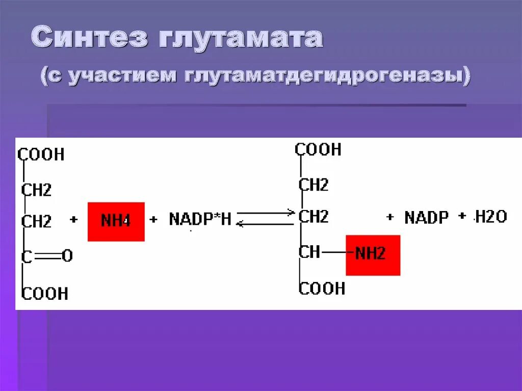 Синтез адрес. Реакция синтеза глутамата. Синтез глутамата биохимия. Реакция синтеза глутамина из глутамата. Синтез аспартата из глутамата.