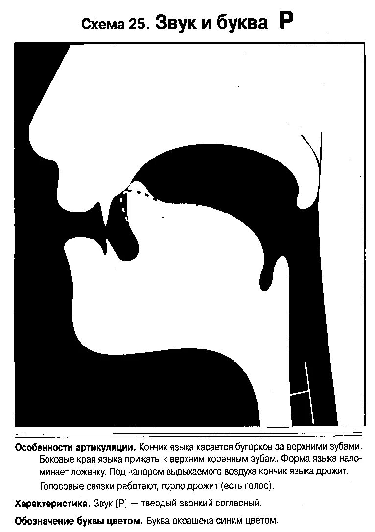 Новикова артикуляция звуков в графическом изображении. Профили артикуляции звуков. Профиль артикуляции звука р. Артикуляция звуков в графическом изображении р. Буквам артикуляция