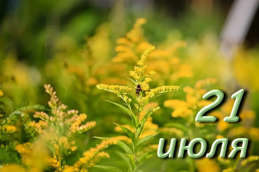 21 июля солнце. Казанская летняя 21 июля народный праздник. Июль. Июль надпись красивая. Календарь июль 21.