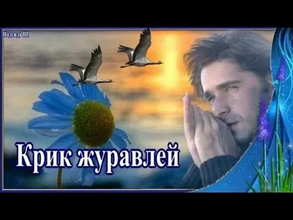 Песня журавлиный крик в осеннем небе