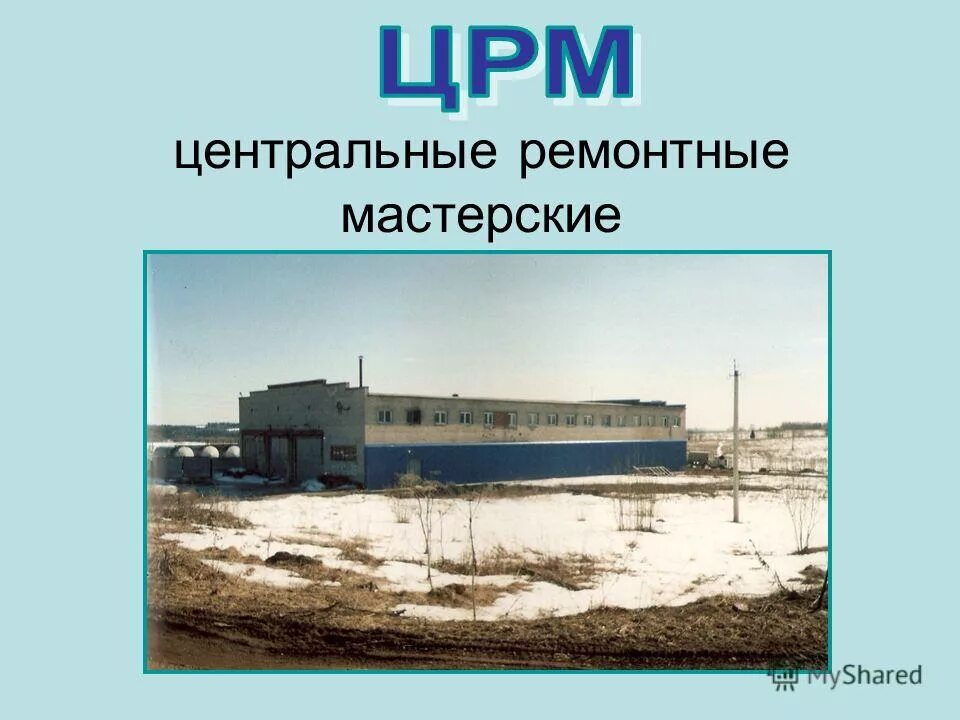ярославльстамотологический центр камея. логотип мку црм. нп "аввт". центр развития медицины. центр инновационного развития ннгу.