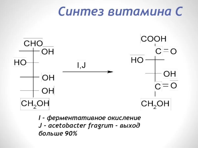 Биосинтез витаминов. Биосинтез витаминов бактериями. Биосинтез витаминов микроорганизмами. Синтез витаминов микрофлорой.