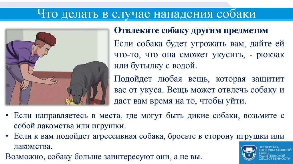 Что делать в случае нападения собаки. Правила при нападении собаки. Правила поведения при нападении собаки. Памятка при нападении собаки. Что делать если на тебя напала собака