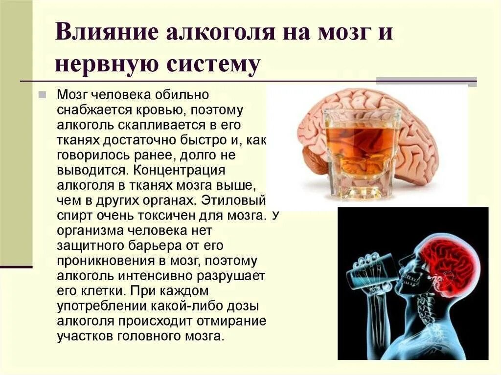 Алкоголь и нервная система. Сколько восстанавливается нервная