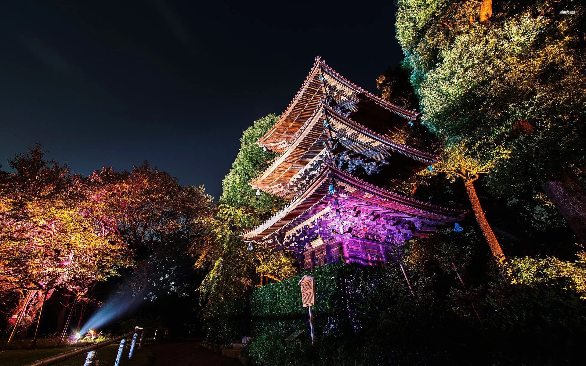 Япония парки пруд Osaka. Япония ночной Токио. Токио парк ночью. Япония Токио пейзаж. Https tokyo