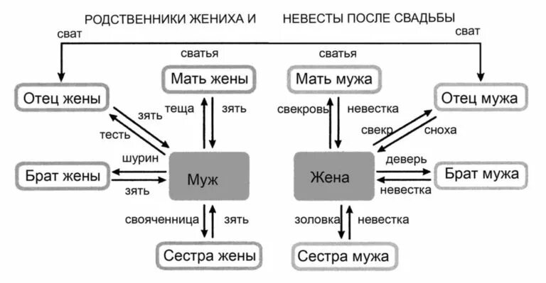 Родственники друг другу. Схема родственников. Муж сестры мужа. Родственные связи названия родственников. Муж сестры кем приходится.