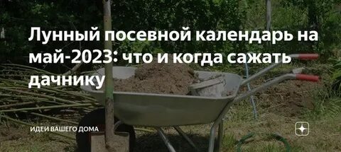 Дни посадки май 2023