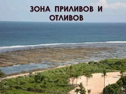 Отлив прилив бухта