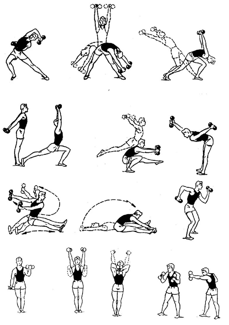 Зарядка с гантелями для женщин. Силовые упражнения для дошкольников. Гимнастические упражнения с гантелями. Занятия с гантелями для детей. Комплекс упражнений с гантелями на физкультуре.