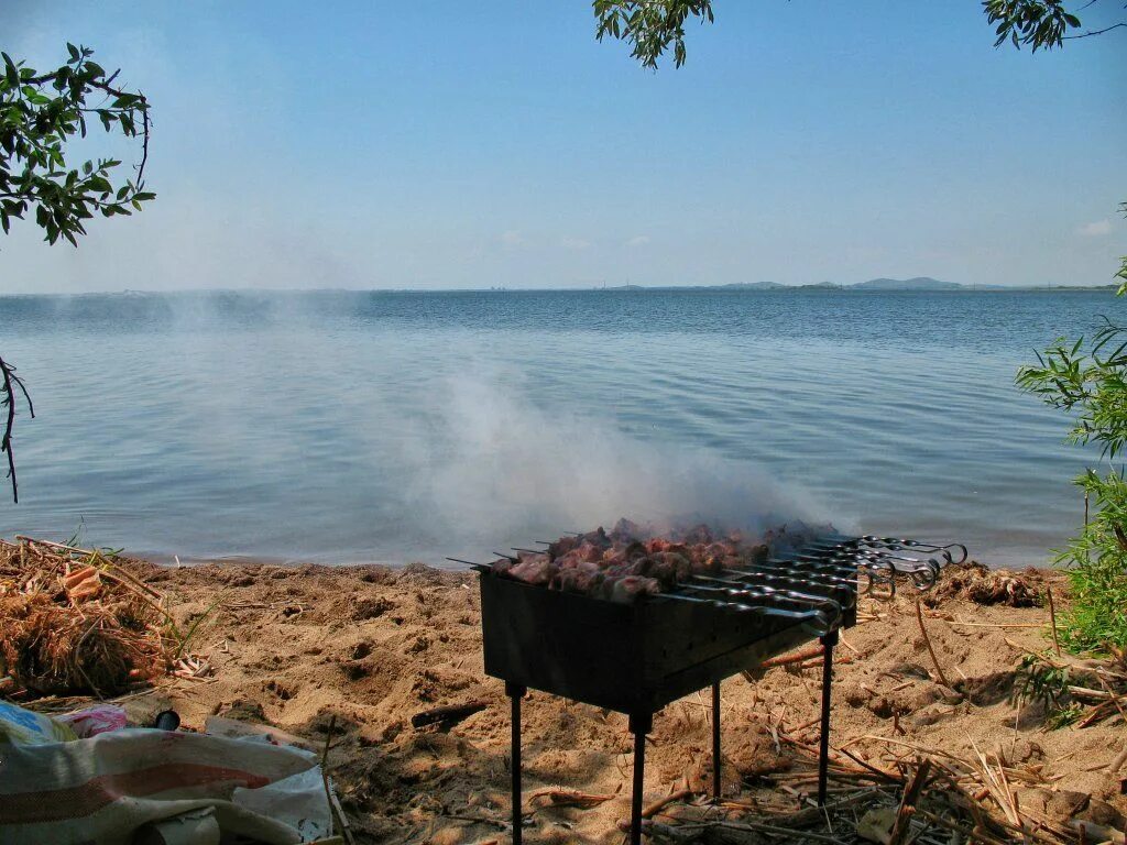 Шашлыки на природе. Мангал на природе. Шашлык на речке. Шашлык на берегу реки. Можно ли жарить шашлык в лесу