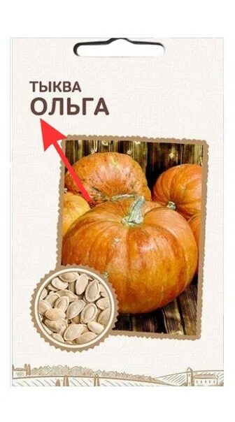 Лучшие сорта тыквы и кабачков - о чем мечтают производители бахчевых культур - А