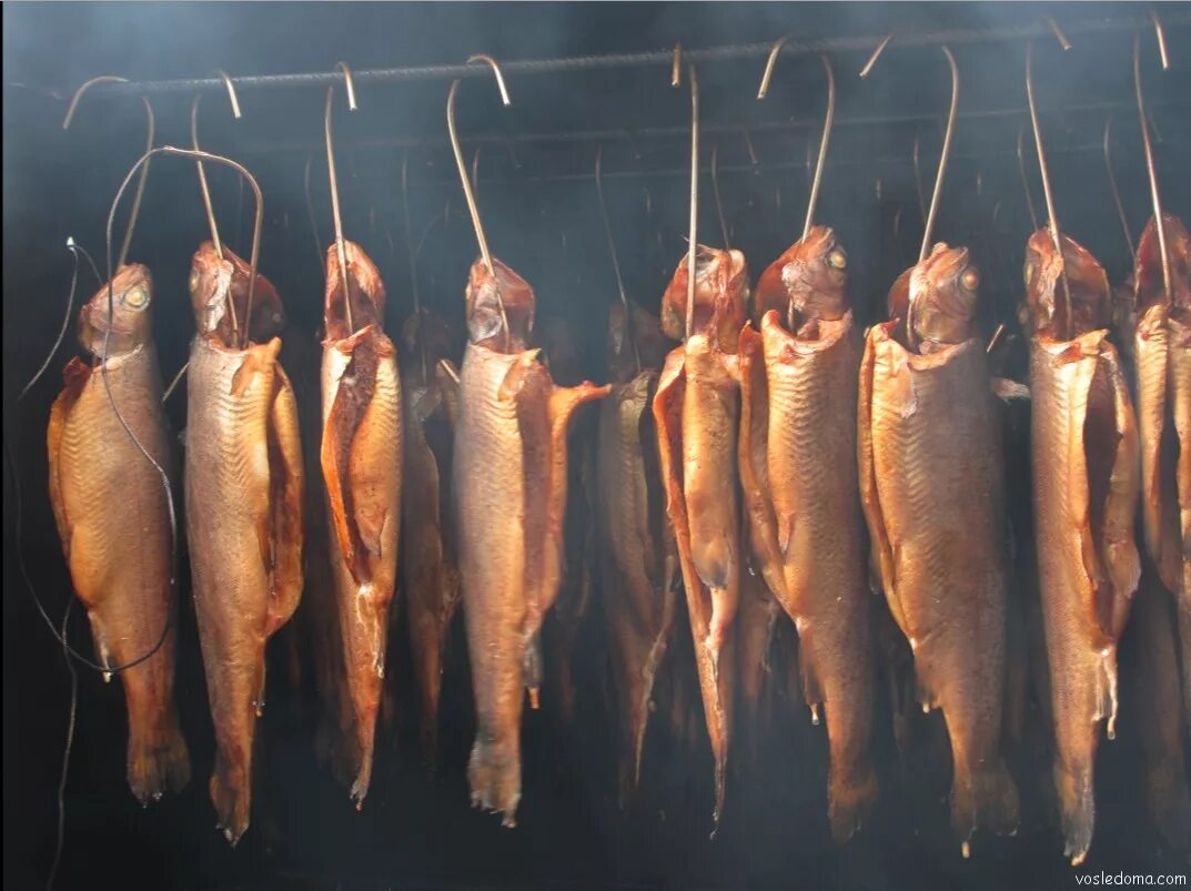 Холодное копчение в коптильне горячего копчения. Сколько времени коптить рыбу холодного копчения. Таблица температур для копчения. Таблица температур для горячего копчения. Горячее копчение рыбы.