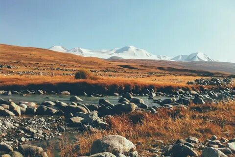 Плато укок алтайский край