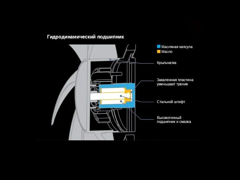 Arctic Bionix p120 PWM. Гидродинамический подшипник вентилятора. Гидравлический подшипник в кулере. Гидродинамический кулер