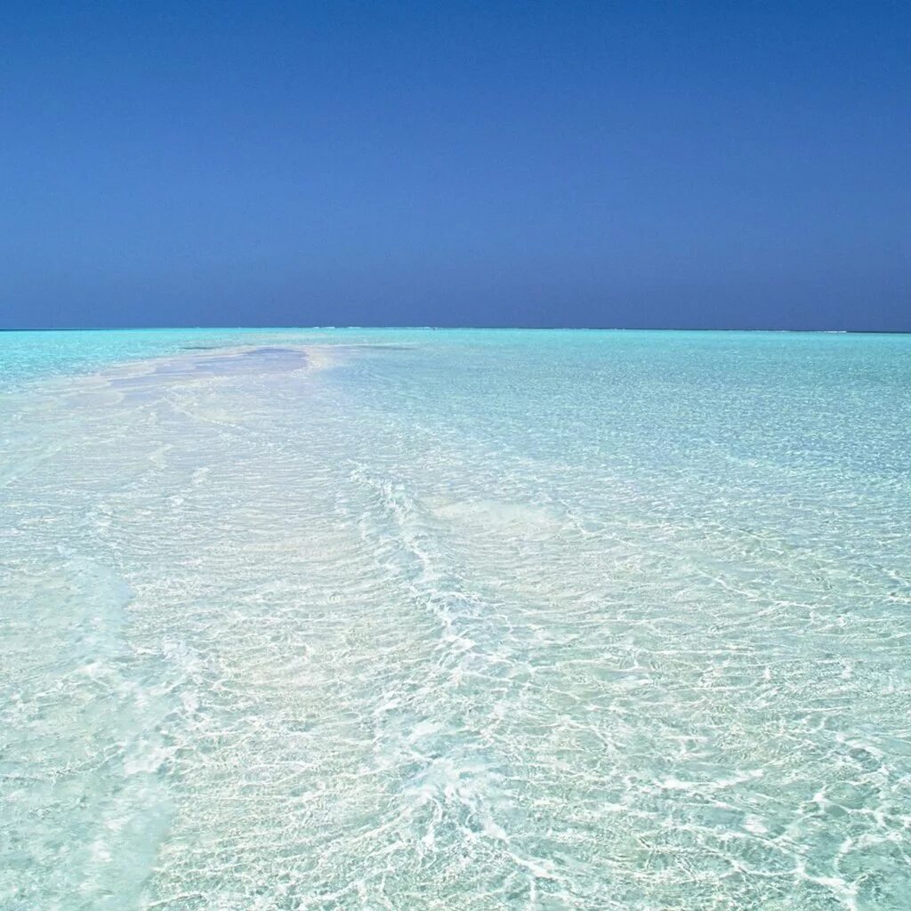 Заставка на компьютер океан. Человек плывет в море. Красивое море. Тесты море океан. Тесты море океан.