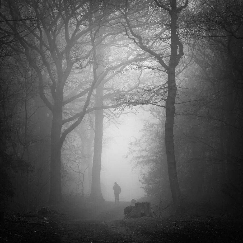 Deep in the woods. Новелла туман Mist. Darkwood арты. Darkwood фото дороги. Dark Forest.