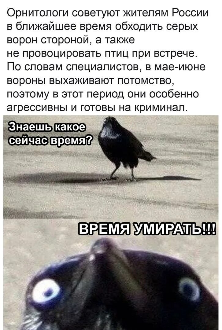 кальянная мем. знаешь какое сейчас время. знаешь какое сейчас время. мемы про кальян смешные. знаешь какое сейчас время.