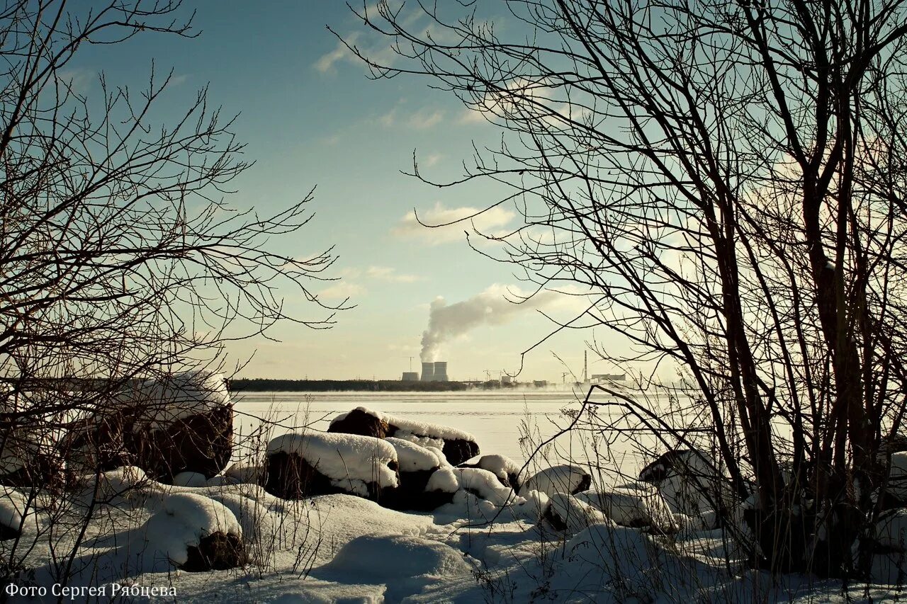 Финский залив Сосновый Бор. Финский залив зимой Репино. Сосновый Бор зима финский залив. Финский залив Сосновый Бор зимой.