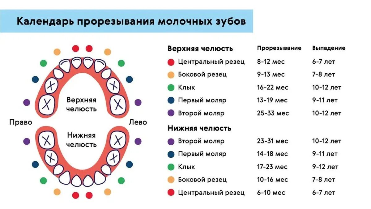 Зубы у детей после года