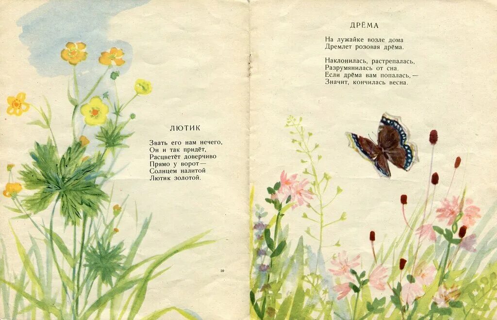 Стихотворение е серова. Серова е.в. "наши цветы". Серова стихи для детей про цветы. Наши цветы.рисунки Басмановой.