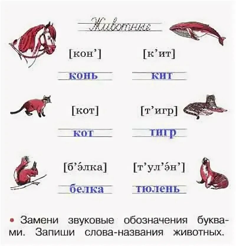 Рассмотри рисунки и звуковые обозначения слов