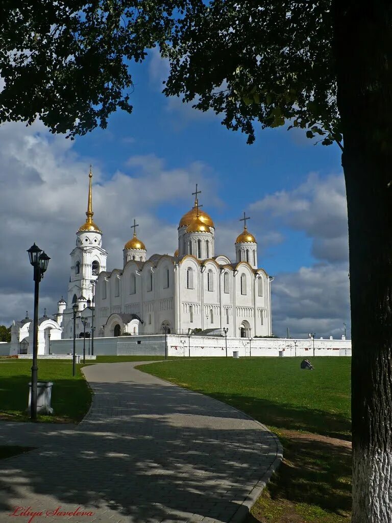 Где во владимире можно сделать