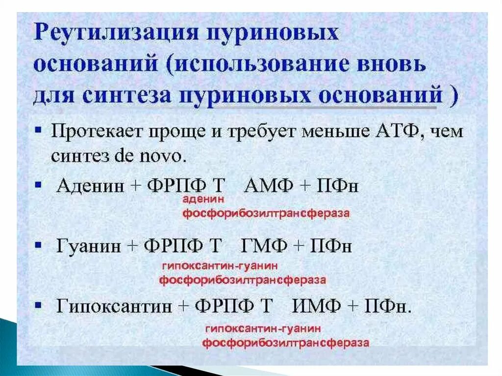 Схемы реутилизации пуриновых азотистых оснований. Путь реутилизации пуриновых оснований. Реутилизация пуриновых оснований реакции. Реакции реутилизации азотистых оснований и нуклеозидов. И основание используемое в качестве