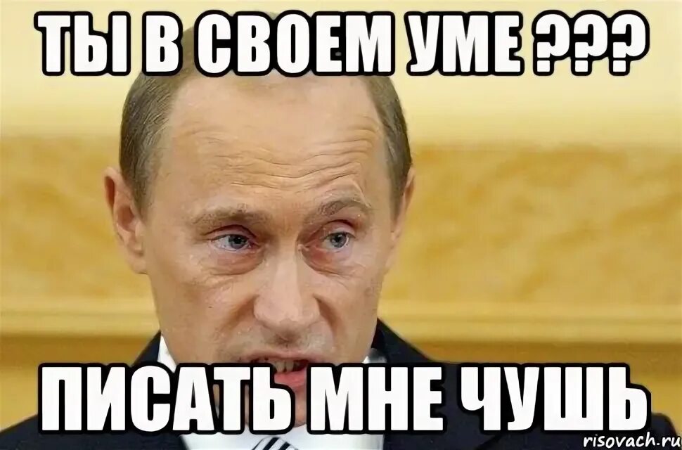 Чушь синоним. Ты в своем уме. Мемы про чушь. Ты в своем уме Мем. Ты в своём уме картинки.