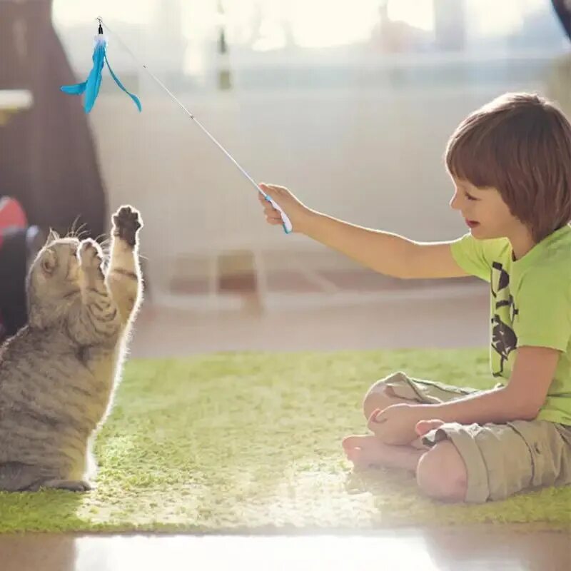 Кошка играет. Во что поиграть с кошкой на улице. Playing with Cat. A boy playing with a Cat. Кэтс плей